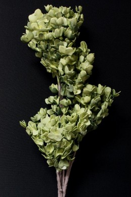 45" GREEN FOAM FLOWER [FF2376-CASE]